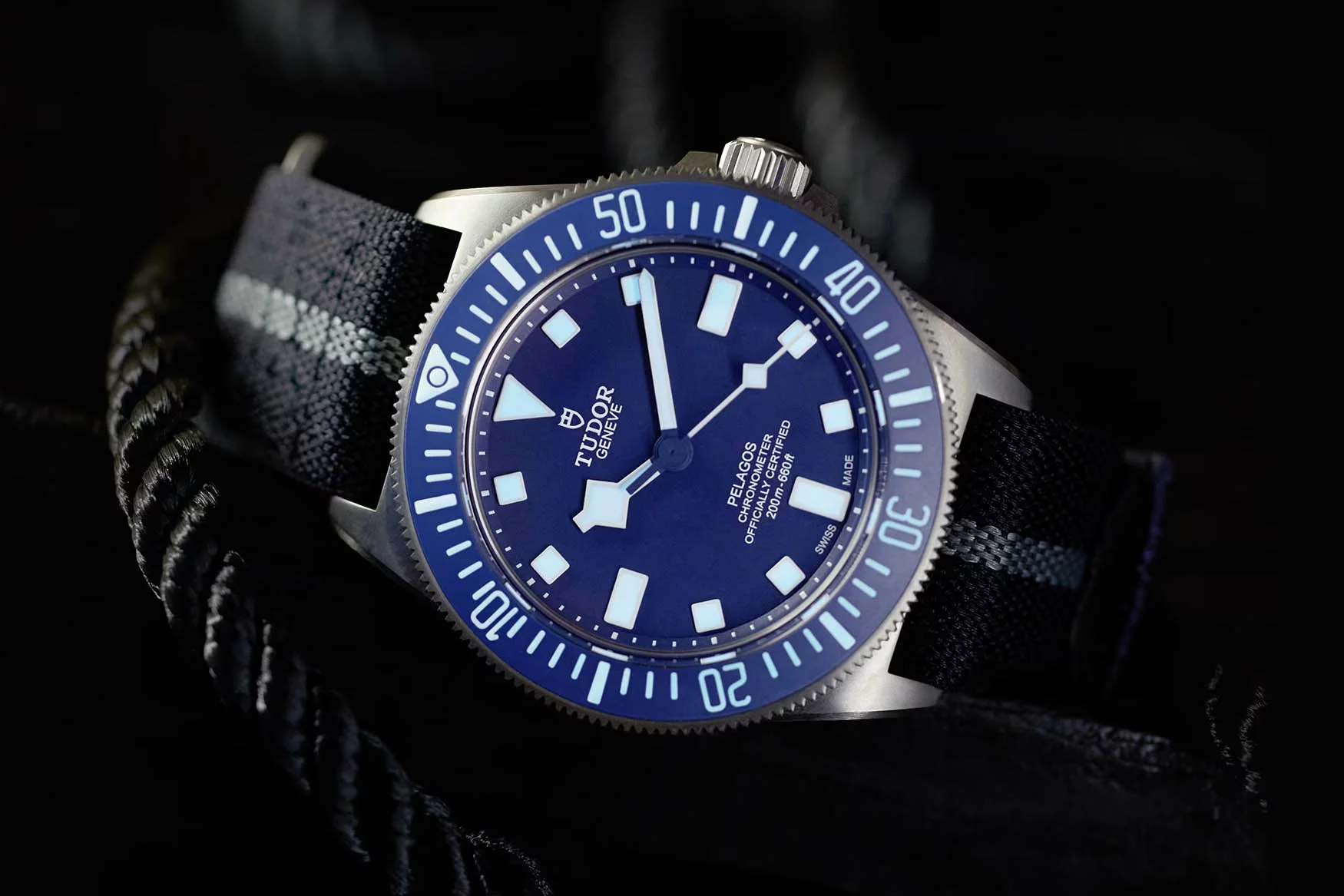 Tudor-Pelagos-FXD-Titanium.jpg