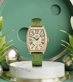 dh_ nu_srwatch_bst_BL_SL5001.6602BL