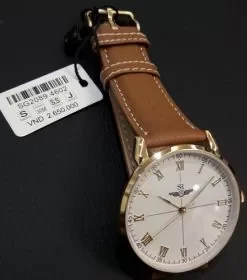 Đồng hồ nam SRWATCH SG2089.4602 chính hãng